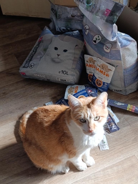 spoleklaskyplnychoci